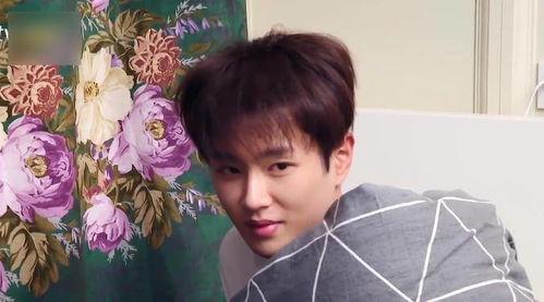 娱乐吃瓜君范丞丞,娱乐吃瓜界的“瓜王”传奇